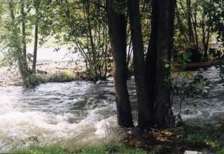 River "Mulde" by Weissenborn